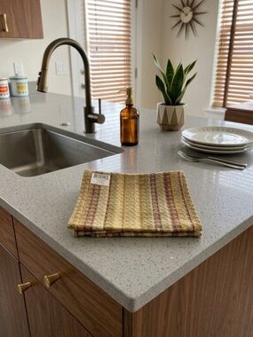 New Park Designs 5 Set Dishcloths Lake House Color Way MCM Earth Tones